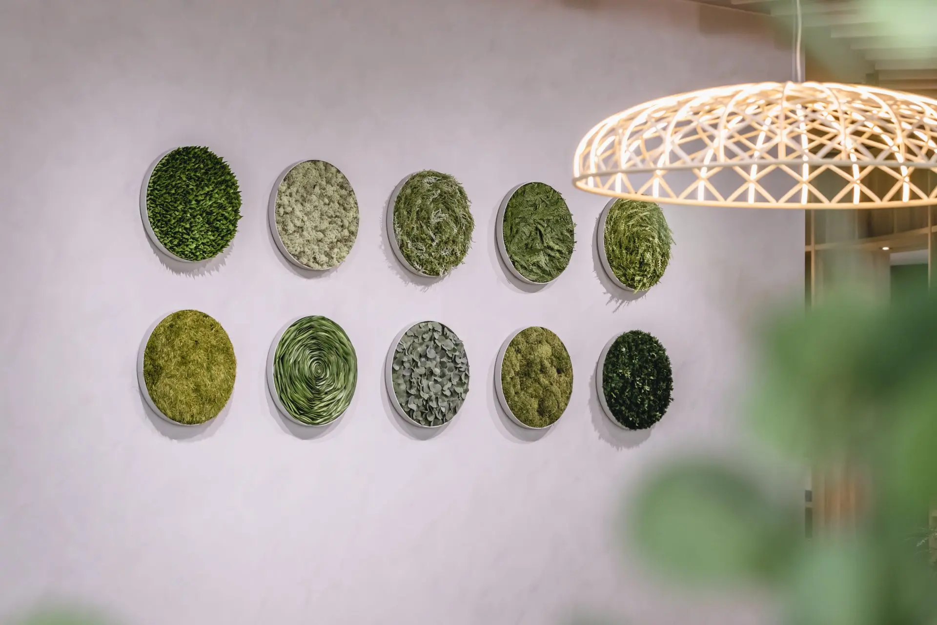 企業と個人、双方の成長を育む有機的なオフィス