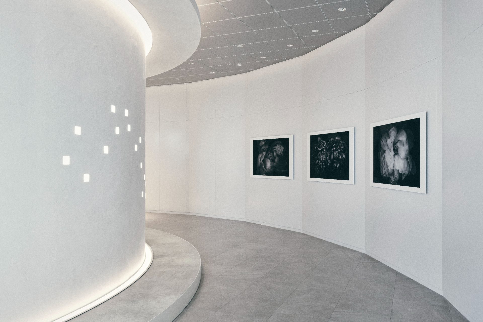 アイデアの源となる、共創空間